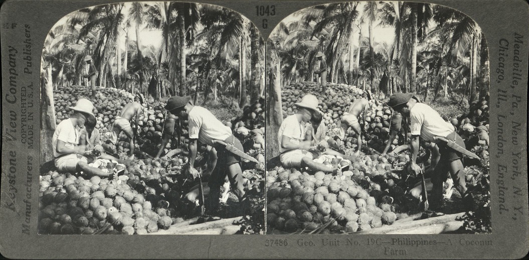 Geo. Unit No. 19C – Philippines – A Coconut Farm.
